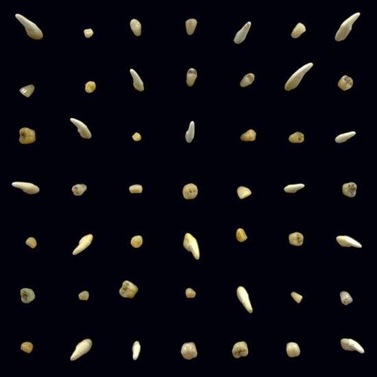 Clipping Visions Of Bodies Being Burned  Vinyl