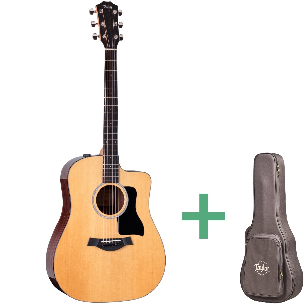 Taylor 210ce Rosewood Western-guitar